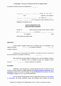 Indeniza&ccedil;&atilde;o - Recusa no Embarque de Pet em viagem A&eacute;rea
