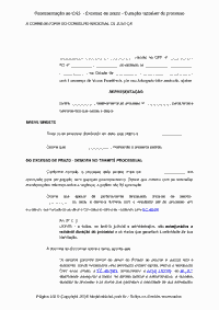 Representa&ccedil;&atilde;o ao CNJ&nbsp; - Excesso de prazo - Dura&ccedil;&atilde;o razo&aacute;vel do processo